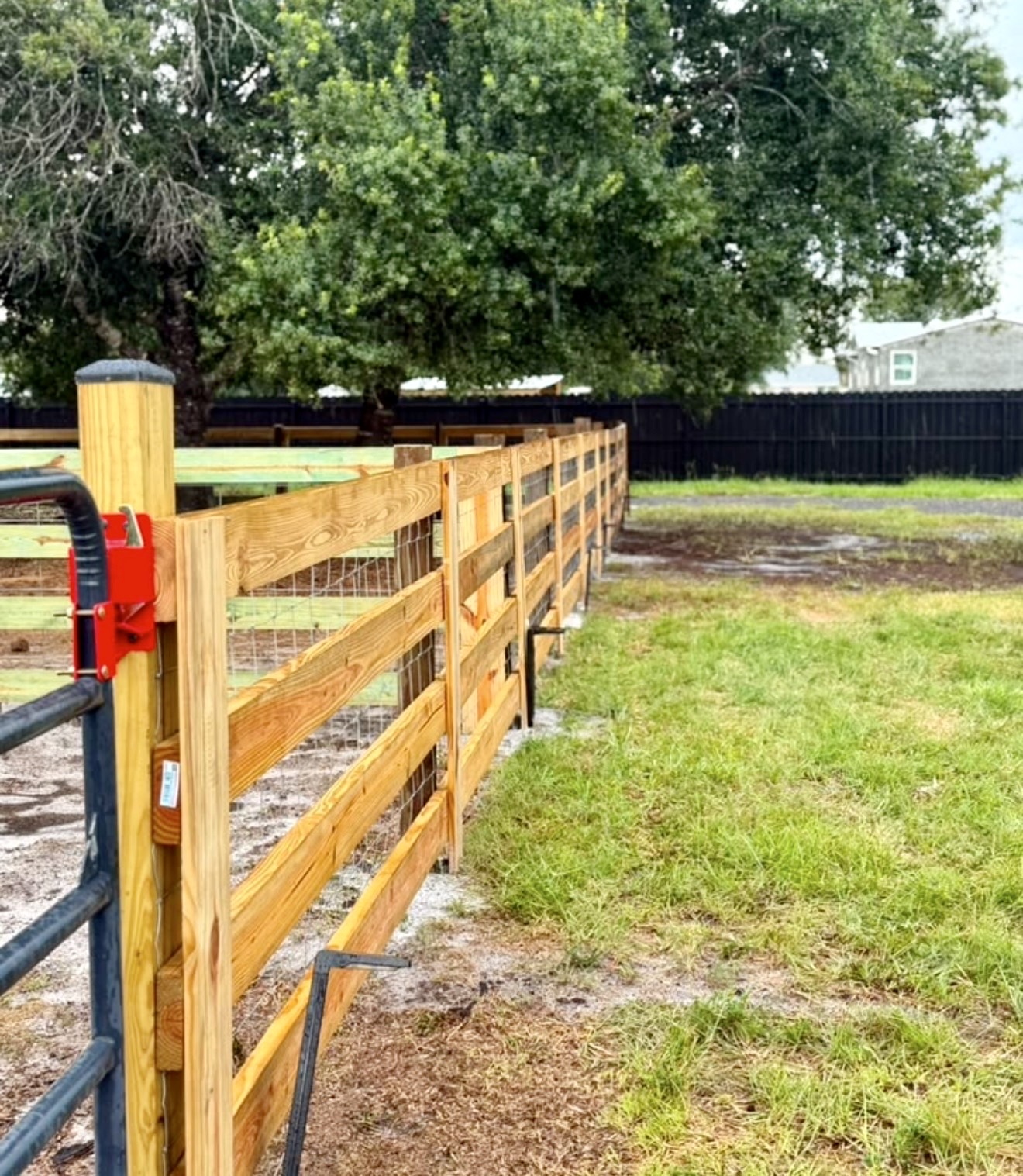 Ranch fence project