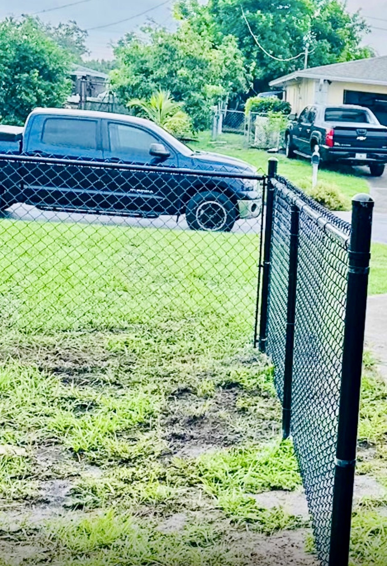Black chain link fence